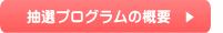 ���I�i�Z��DV�v���O�����̊T�v