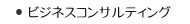 �n���C�N�ƁE�r�W�l�X�R���T���e�B���O