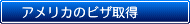 �A�����J�̃r�U�擾