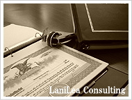 Lani Lea Consulting