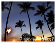 Hawaii Lani Lea Consulting