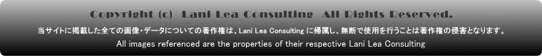 Copyright Lani Lea Consulting 